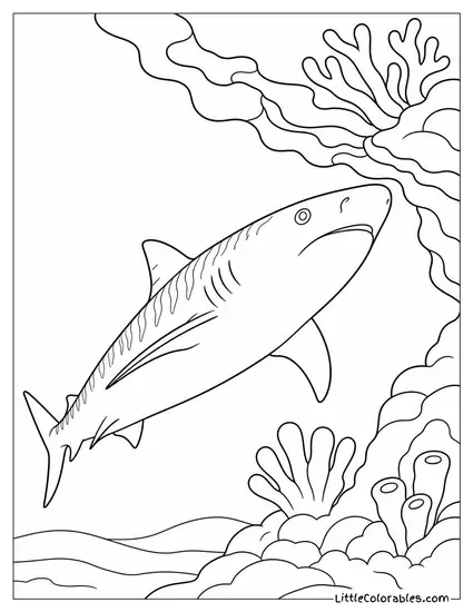 Tiger Shark Investigating a Reef from Below Coloring Page