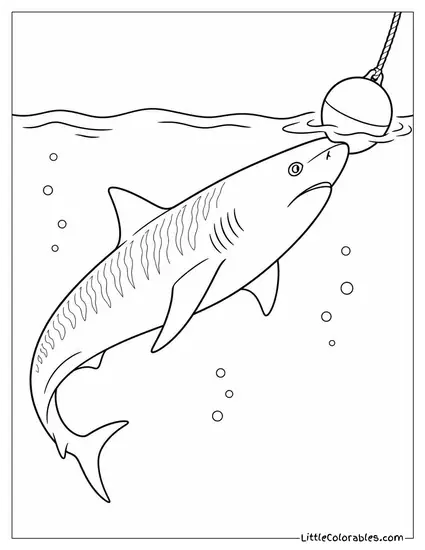 Tiger Shark Nudging a Floating Object with Snout Coloring Page
