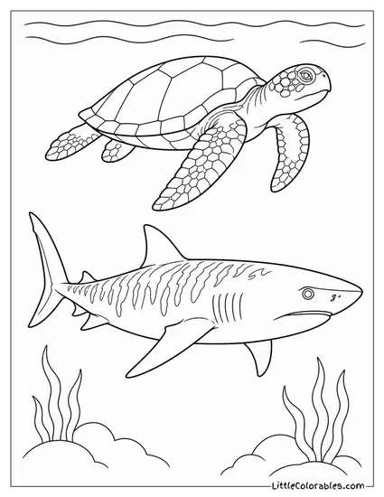 Tiger Shark Passing Beneath a Sea Turtle Above Coloring Page