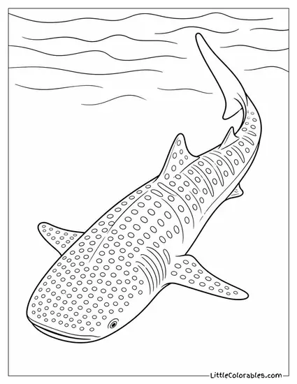 Whale Shark Sinking Slowly Into Deep Blue Water Coloring Page
