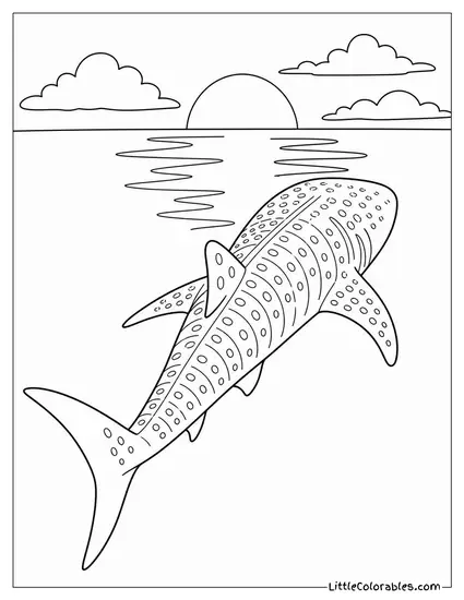 Whale Shark Swimming Toward a Setting Sun Coloring Page