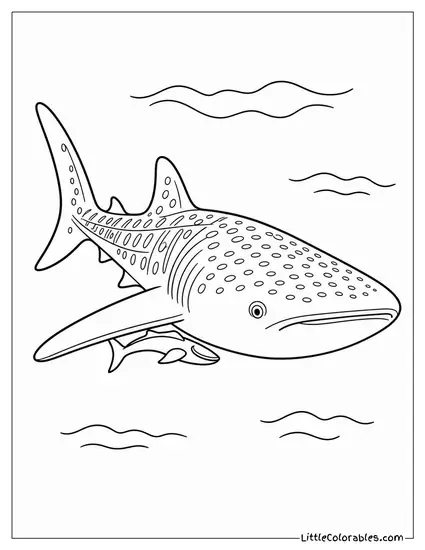 Whale Shark with a Remora Under Its Fin Coloring Page