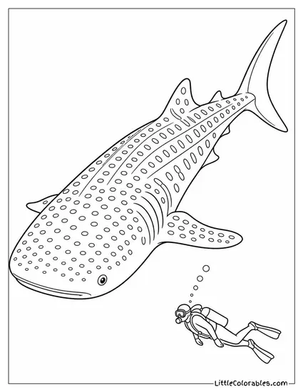 Whale Shark with a Tiny Diver Alongside Coloring Page