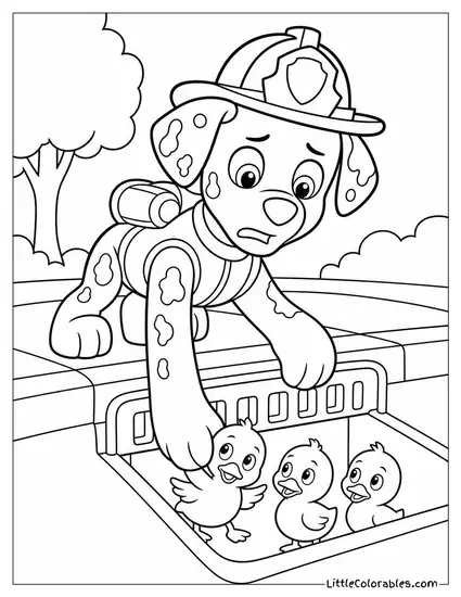 Marshall Rescuing a Family of Ducklings From a Drain With a Worried Face Coloring Page