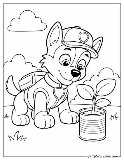 Rocky Inspecting a Plant Growing From a Recycled Tin Can With a Curious Smile Coloring Page