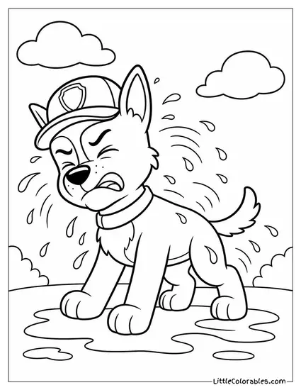 Rocky Shaking Off Water With a Disgusted Face After a Surprise Rain Shower Coloring Page